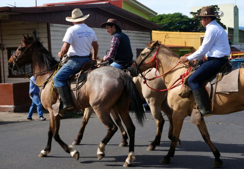 paseo-caballo-costarica-g16